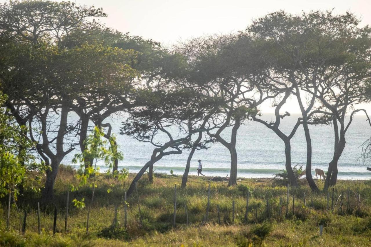 Mansa Musso Lodge Sanyang Eksteriør bilde