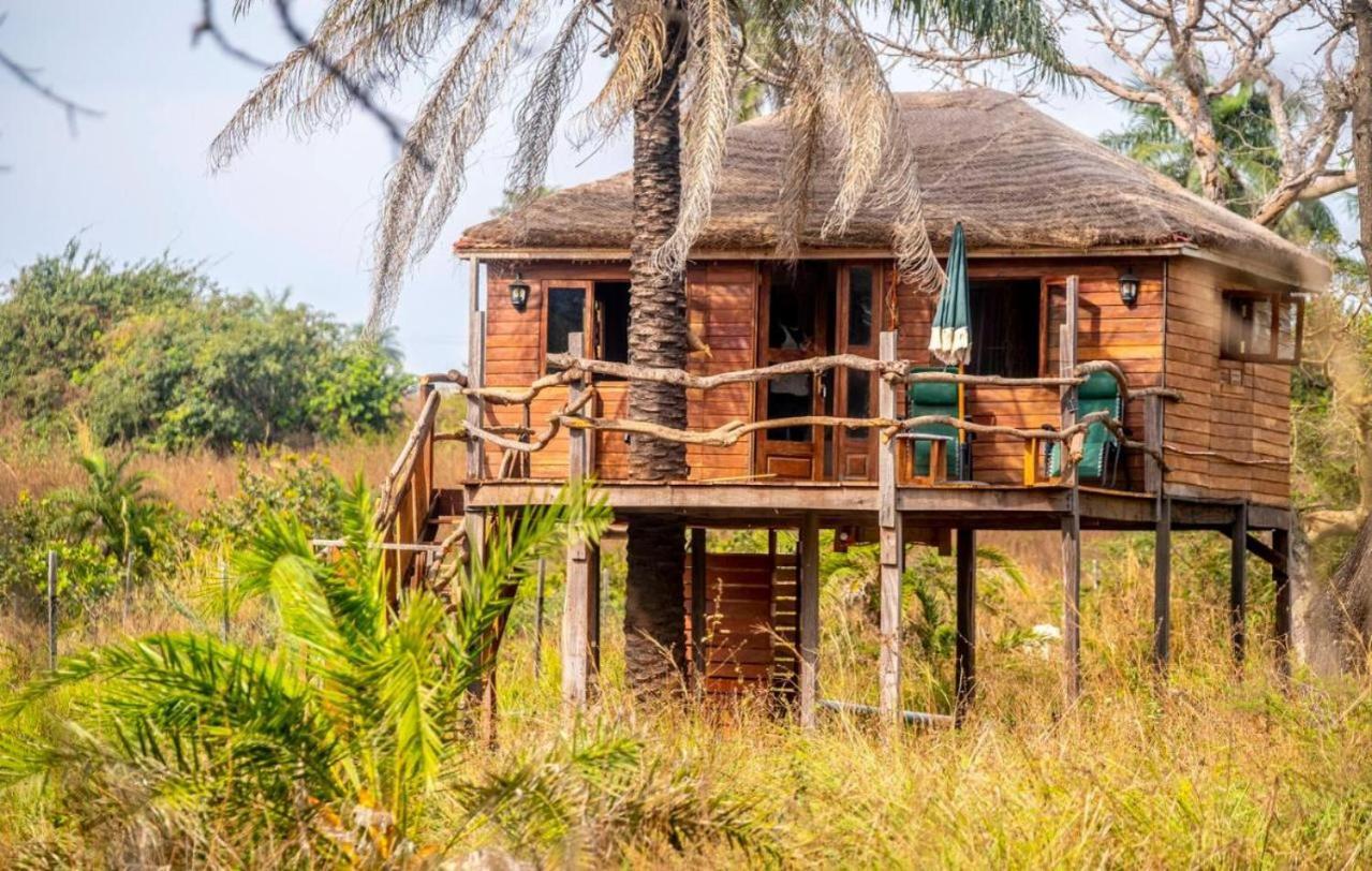 Mansa Musso Lodge Sanyang Eksteriør bilde