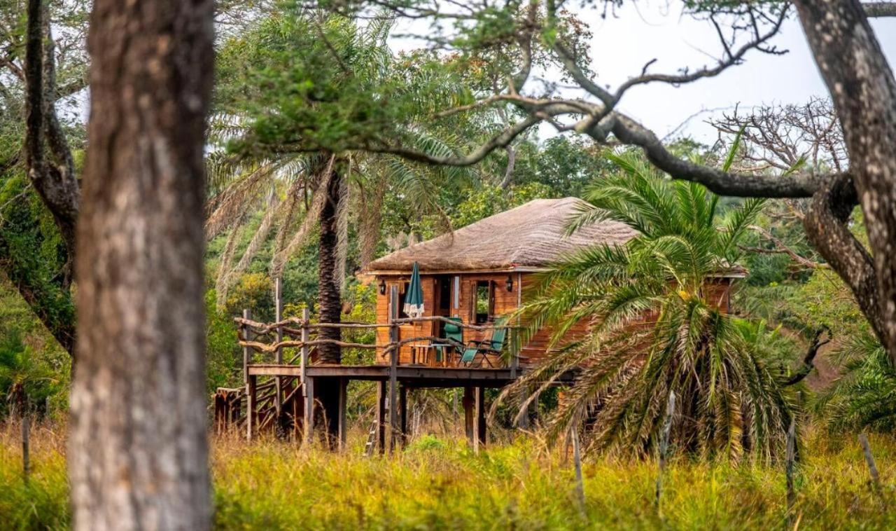 Mansa Musso Lodge Sanyang Eksteriør bilde