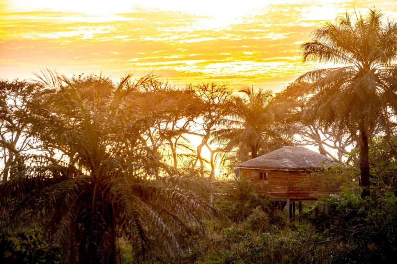 Mansa Musso Lodge Sanyang Eksteriør bilde